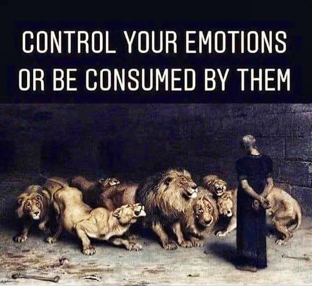 Master’S Metaphor - 5 1